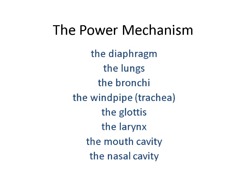 The Power Mechanism the diaphragm the lungs the bronchi the windpipe (trachea) the glottis